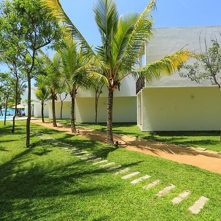 Hotel Arugambay Roccos Arugam Bay Zewnętrze zdjęcie