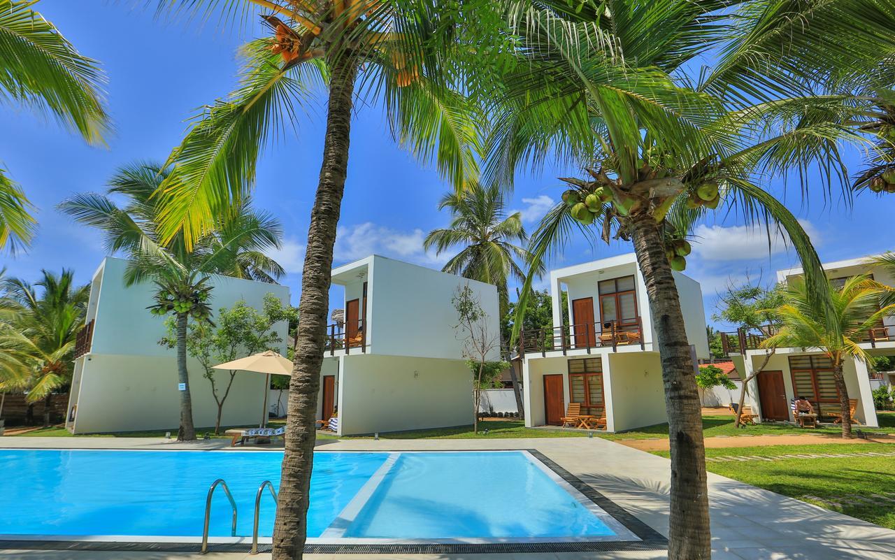 Hotel Arugambay Roccos Arugam Bay Zewnętrze zdjęcie