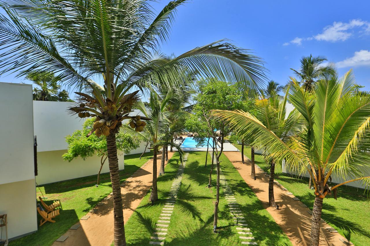 Hotel Arugambay Roccos Arugam Bay Zewnętrze zdjęcie